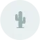 Dry
