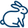 ic
